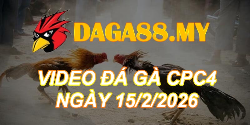 VIDEO GÀ CPC4 NGÀY 15/2/2026