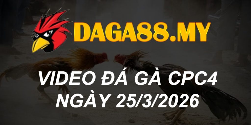 VIDEO GÀ CPC4 NGÀY 25/3/2026