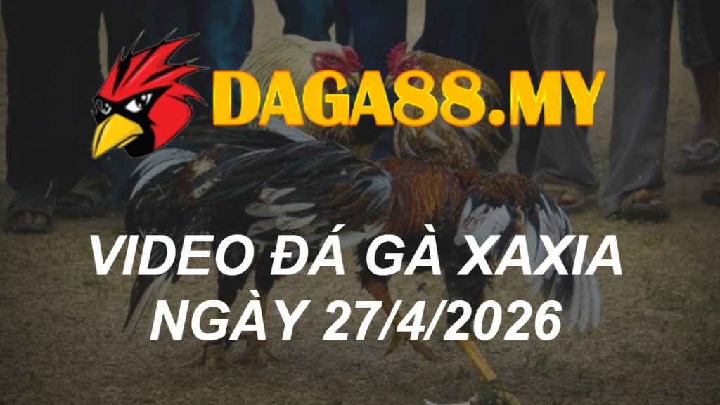 Video Xà Xía Ngày 27/04/2026